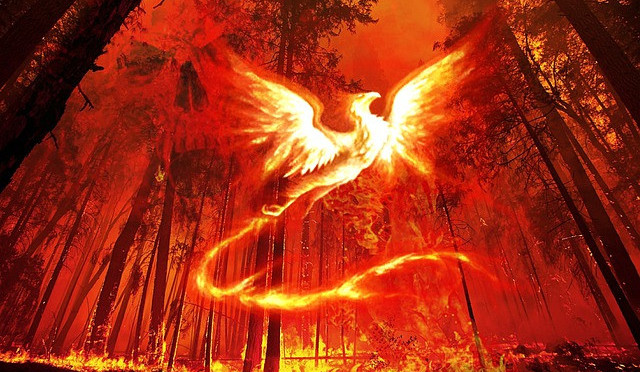 The legend of the Phoenix – Phoenix Creative Arts